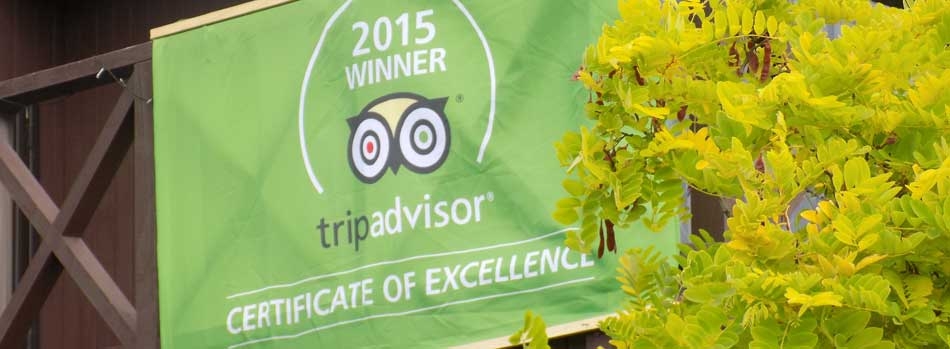2015 winner of the tripadvisor certificate of excellence